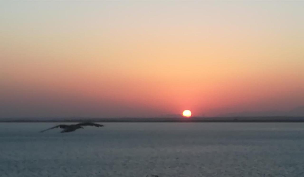 Apartamento Fenicia Con Aparcamiento Incluido Vistas Al Mar กาดิซ ภายนอก รูปภาพ